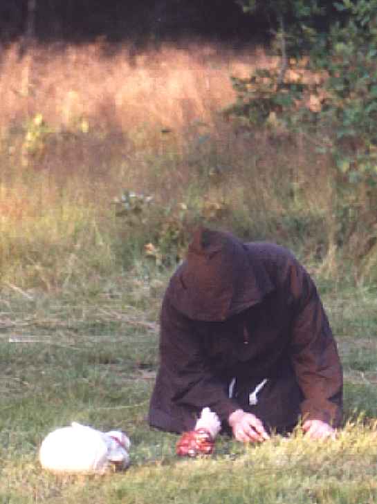 02-28-Zerstueckelt.jpg (28752 Byte)