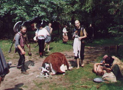 Kuh2.jpg (49485 Byte)