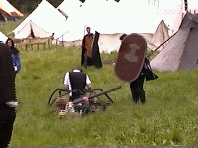 hs2Spinnen1.jpg (66492 Byte)