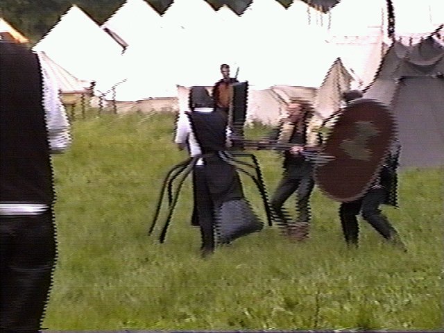 hs2Spinnen2.jpg (70153 Byte)