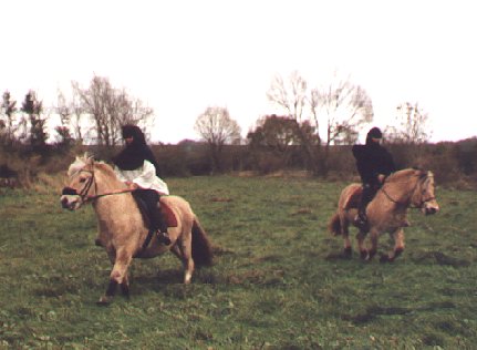 Reiten1.jpg (28490 Byte)