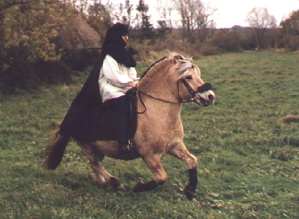 Reiten2.jpg (36751 Byte)