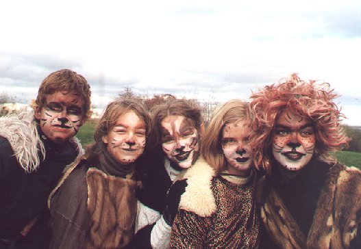 34Katzen.jpg (43982 Byte)